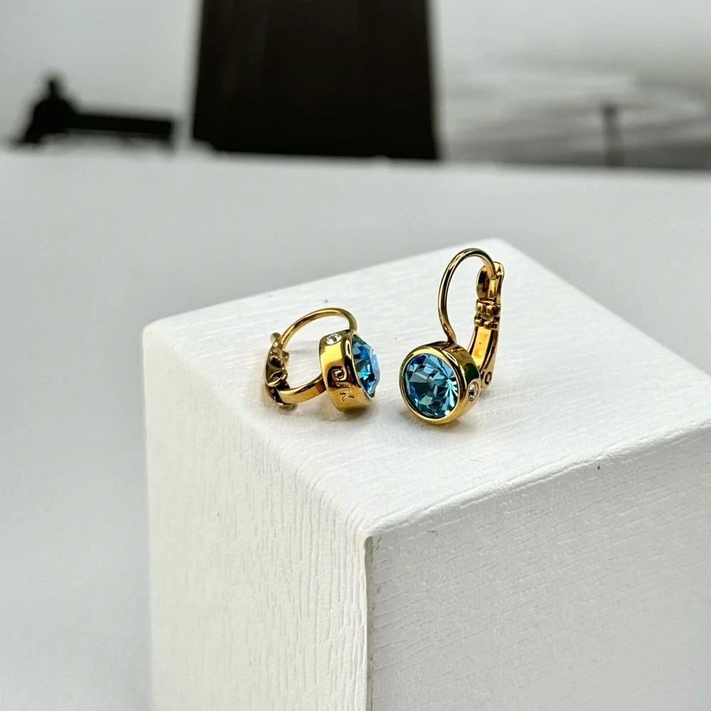 Aquamarine And Clear Crystal Hook Gold Earrings - Picture 4 of 6